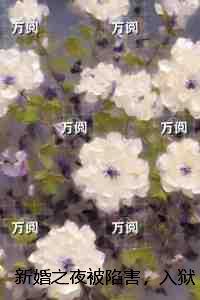 新婚之夜发生什么
