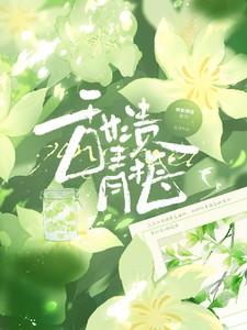 甜渍青梅