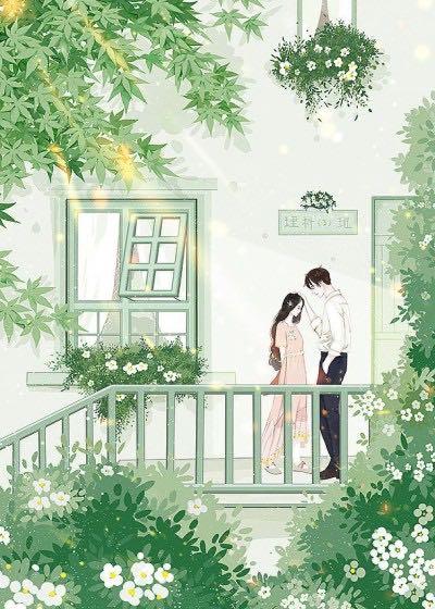 顾清汐段季泽
