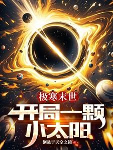 极寒末世：开局一颗小太阳
