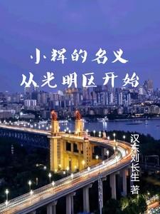 小辉的名义从光明区开始