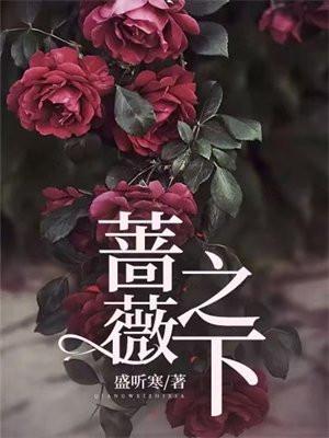 蔷薇之下