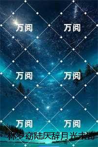 林岁窈陆厌辞月光未寄达的信：结局+番外高分佳作