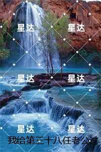我给第三十八任老公过喜纯净版：结局+番外好文分享