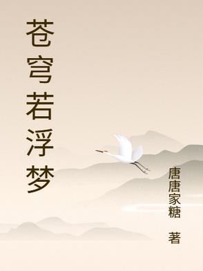 苍穹若浮梦