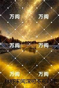 林妤宋闻深可不可以不勇敢：全文+后续